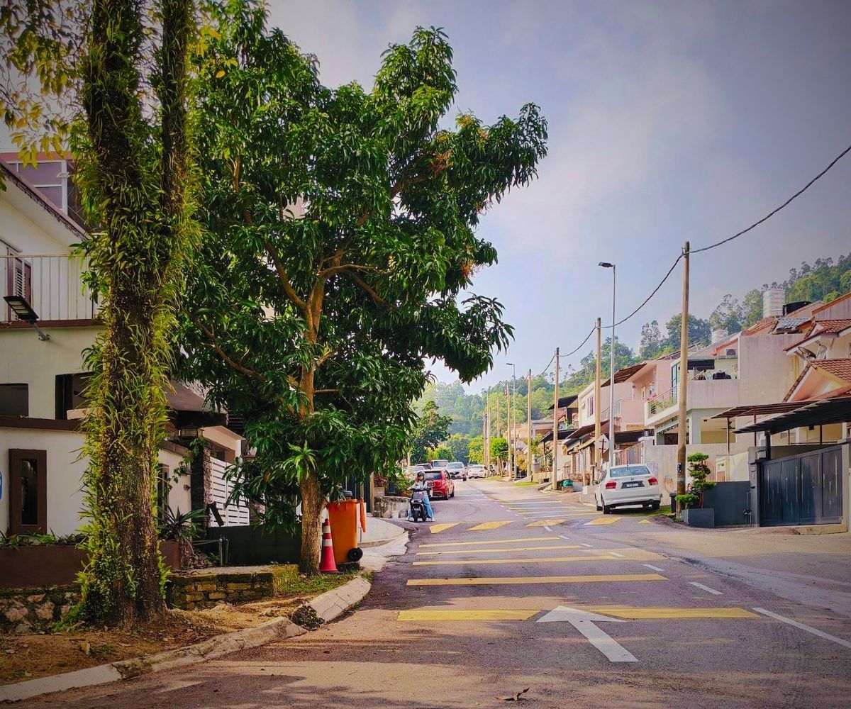 Pandan Bistari